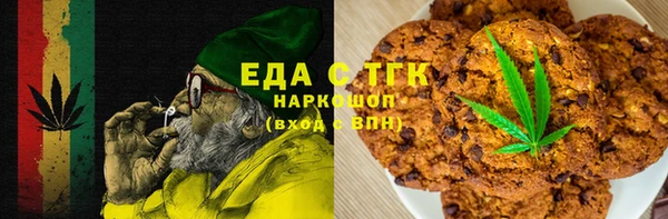 ECSTASY Алзамай